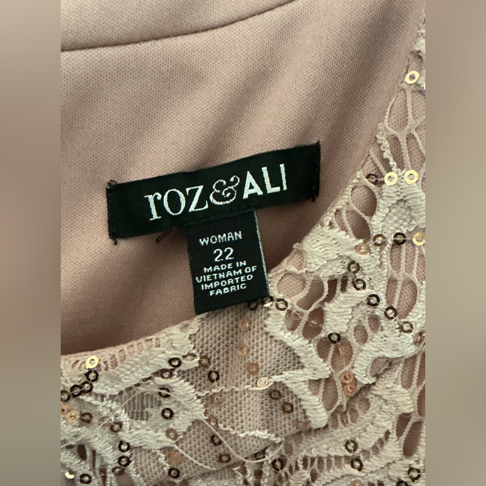 Roz & Ali Blush Lace Sequin Midi Dress - Picture 5 of 8